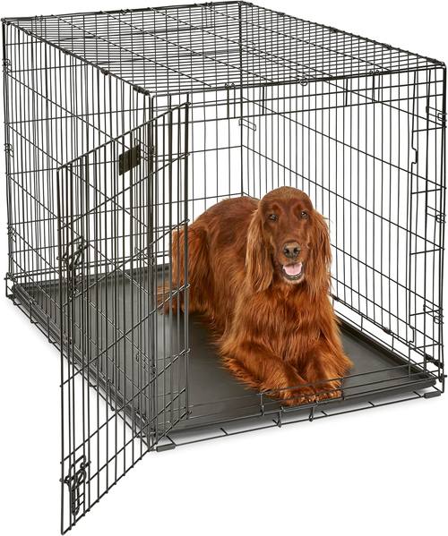Midwest 42-Inch Single Door iCrate, for Large Breeds, 71-90 lbs