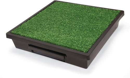 PetSafe Pet Loo Portable Dog Potty, Medium