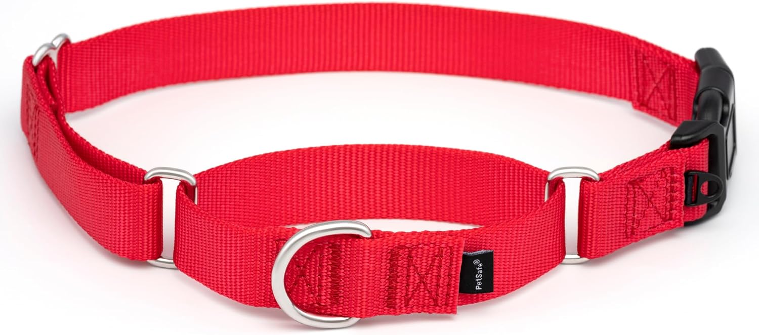 PetSafe Martingale Quick-Snap Dog Collar, Red, 1 in, Large