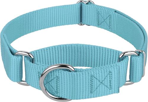 Country Brook Petz - Martingale Dog Collar - Heavy-Duty Training Collar with No Buckle - Service Dog Collar for All Pups - 20 Vibrant Colors (Ocean Blue, 3/4 Inch, Small)