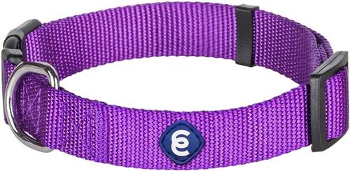 Blueberry Pet Essentials Florence Orange Adjustable Nylon Dog Collar for Small Dogs, Classic Solid Color Pet Safety & Style for Small Dogs