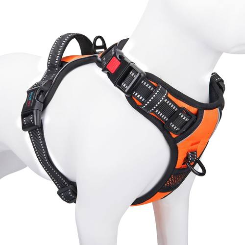Budget front-clip harness (no-name)