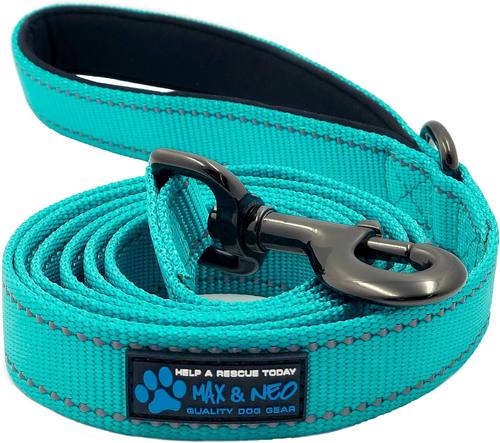 The Max and Neo Reflective Leash