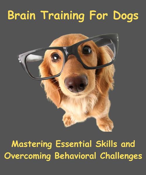 Brain Training for Dogs: the wrong tool for the job