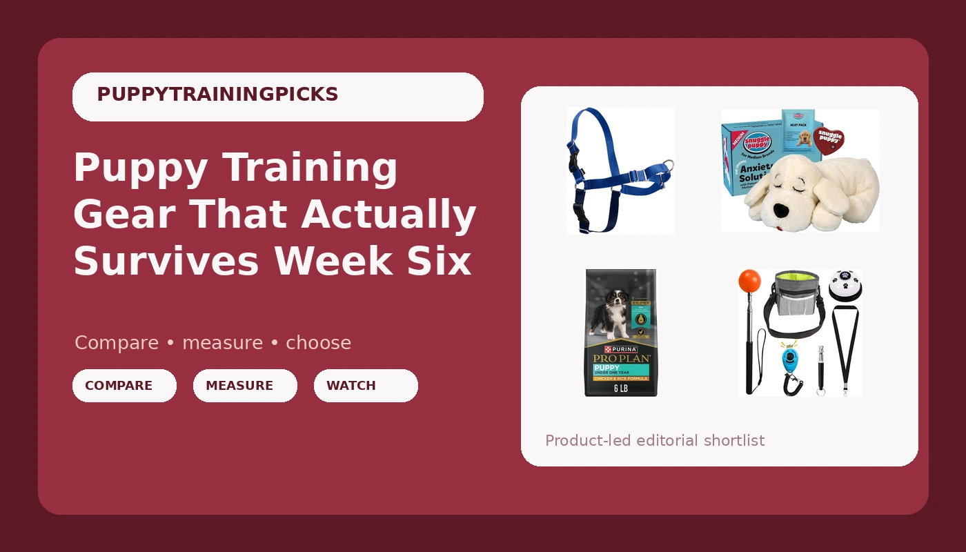 Puppy Training Gear That Actually Survives Week Six