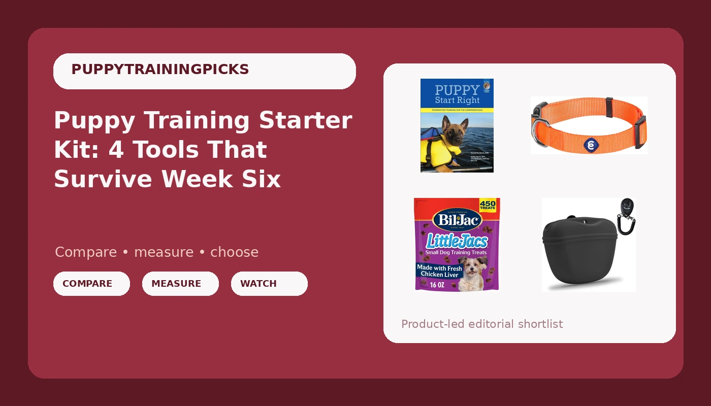 Puppy Training Starter Kit: 4 Tools That Survive Week Six